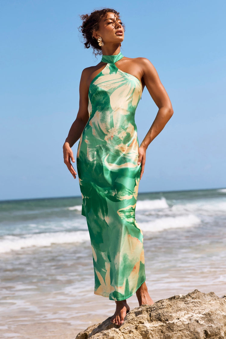 On The Dance Floor Maxi Dress - Green Multi for women