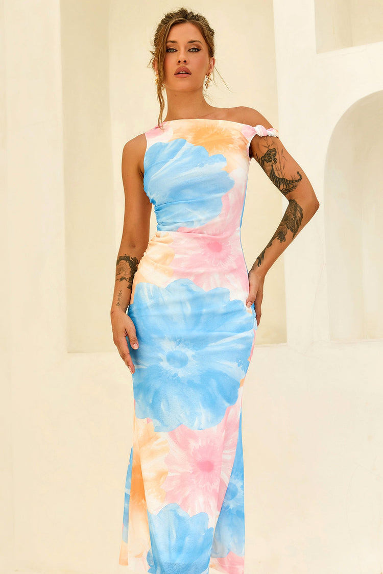 The Front Row Mesh Maxi Dress - Blue Multi for women