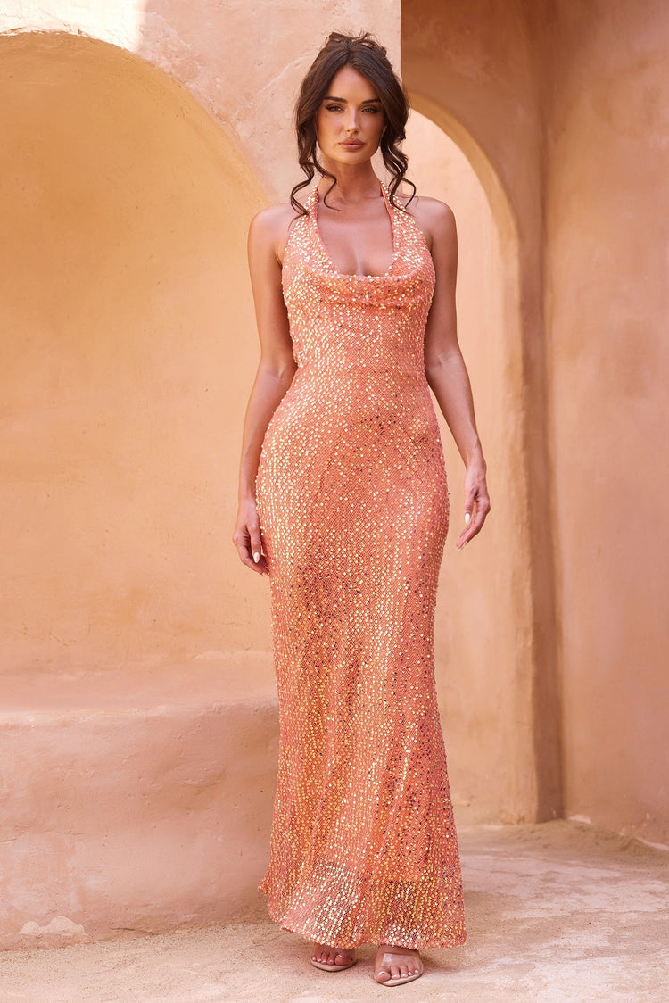 You Wish Sequin Maxi Dress